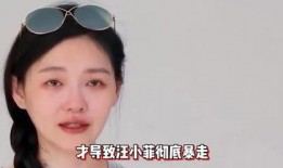 娱乐大爆料汪小菲视频,娱乐大爆料背后的惊人真相